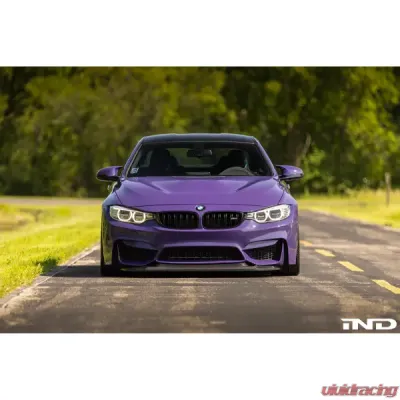 Alpha-N Carbon GTS Hood BMW M4 F82 2015-2020 - AN-0033