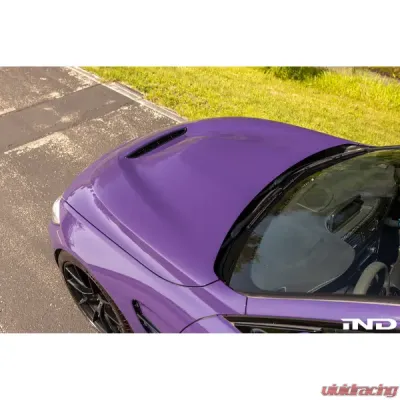 Alpha-N Carbon GTS Hood BMW M4 F82 2015-2020 - AN-0033