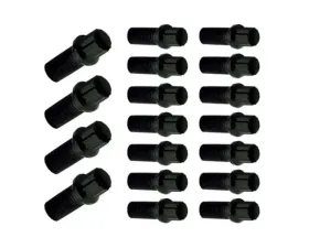 Moroso Set of 18 Chevrolet Small Block Oil Pan Bolts