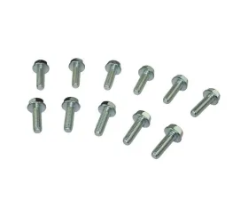 Moroso Lifter Valley Plate Bolts GM LS | LSX