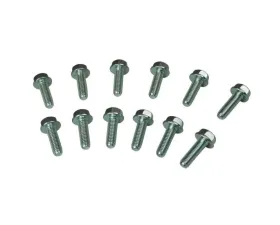 Moroso Header Bolts GM LS
