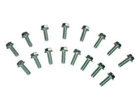 Moroso Header Bolts Ford 4.6L/5.4L