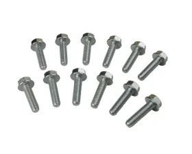 Moroso Rear Seal Cover Bolts GM LS