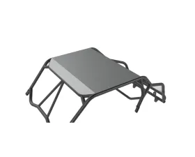 LSK Suspension Raw Radius Roof Honda Talon 2 Seat