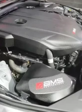 AMS Performance Carbon Fiber Engine Cover for AMS.38.06.0001-1, Fits Select Models                                     - AMS.38.06.0001-1 - Image 2