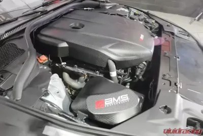 AMS Performance Carbon Fiber Engine Cover for AMS.38.06.0001-1, Fits Select Models - AMS.38.06.0001-1