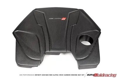AMS Performance Red Alpha Matte Carbon Engine Cover - ALP.28.06.0001-1