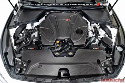 AMS Performance Red Alpha Matte Carbon Engine Cover - ALP.28.06.0001-1
