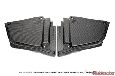 AMS Performance Red Alpha Matte Carbon Brake Fluid Reservoir and Battery Cover Set - ALP.28.06.0003-1