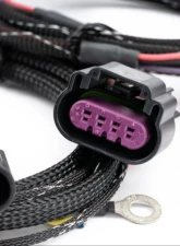 AMS Performance Universal Flex Fuel Can Bus Box                                     - AMS.00.07.0002-1 - Image 5