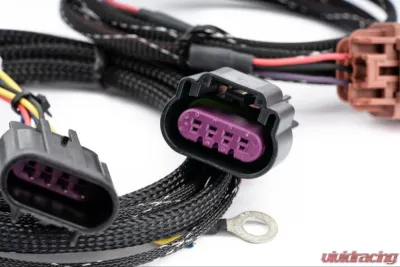 AMS Performance Universal Flex Fuel Can Bus Box - AMS.00.07.0002-1