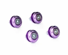 Acuity Instruments 1914 Shifter Base Bushings Honda Civic | Acura Integra 2016-2025