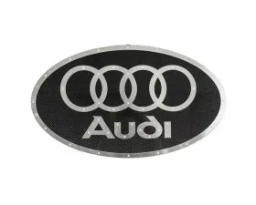 Fabspeed Carbon Fiber Audi Wall Art