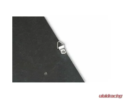 Fabspeed Carbon Fiber Audi Wall Art - FS.AUD.CFSSWA