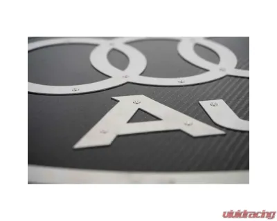Fabspeed Carbon Fiber Audi Wall Art - FS.AUD.CFSSWA