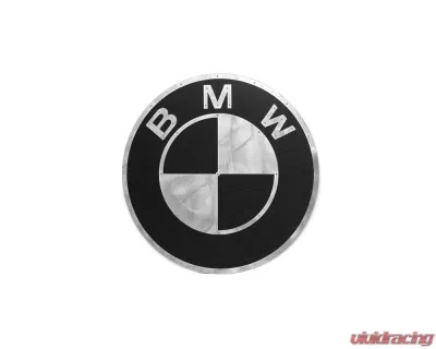 Fabspeed Carbon Fiber BMW Wall Art - FS.BMW.CFSSWA