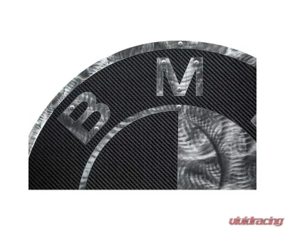 Fabspeed Carbon Fiber BMW Wall Art - FS.BMW.CFSSWA