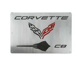 Fabspeed Carbon Fiber Wall Art - Corvette C8 Stingray
