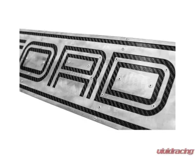 Fabspeed Carbon Fiber Wall Art Ford GT (2005 Design) - FS.FORDGT05.CFSSWA