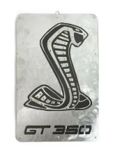 Fabspeed Carbon Fiber Shelby GT350 Wall Art                                     - FS.GT350.CFSSWA - Image 4