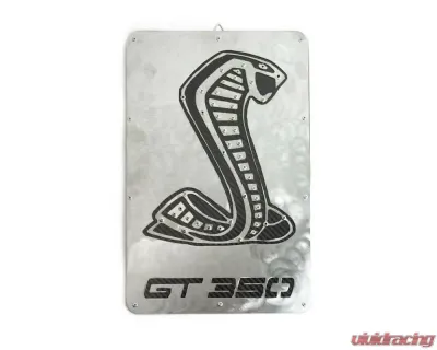 Fabspeed Carbon Fiber Shelby GT350 Wall Art - FS.GT350.CFSSWA