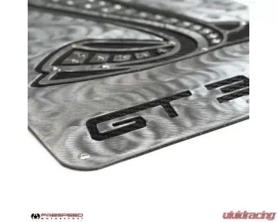 Fabspeed Carbon Fiber Shelby GT350 Wall Art - FS.GT350.CFSSWA