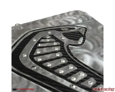 Fabspeed Carbon Fiber Shelby GT350 Wall Art - FS.GT350.CFSSWA