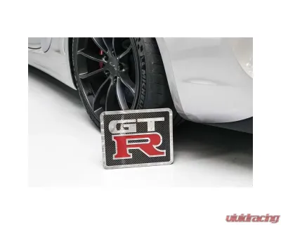 Fabspeed Carbon Fiber Nissan GT-R Wall Art - FS.GTR.CFSSWA