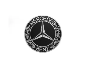 Fabspeed Carbon Fiber Mercedes Wall Art