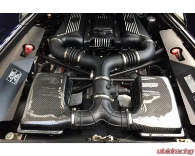 Fabspeed Carbon Fiber Airbox Covers Ferrari F355 1996-1999 - FS.FER.35552.ABX
