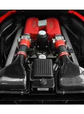 FabSpeed Carbon Fiber Airbox Covers Ferrari 360 1999-2005                                     - FS.FER.360.ABX - Image 2