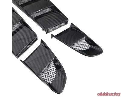 Fabspeed Carbon Fiber Spider Rear Engine Louvers Audi R8 V10 2009-2014 - FS-CF-AUD-R8SEL
