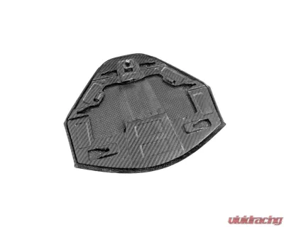 Fabspeed Carbon Fiber Rear Camera Decklid Housing Panel Chevrolet Corvette C8 2020+ - FS-CF-COR-C8CDH