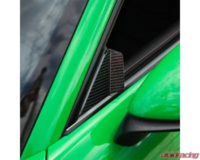 Fabspeed Carbon Fiber Anti-Wind Buffeting Kit - FS.CARBON.ABK