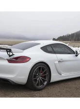 Fabspeed Single-Wall Tips w/ Polished Stainless Steel Tips Porsche 981 Cayman GT4 2015-2016                                     - FS.POR.981GT4.SWTP - Image 2