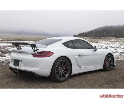 Fabspeed Single-Wall Tips w/ Polished Stainless Steel Tips Porsche 981 Cayman GT4 2015-2016 - FS.POR.981GT4.SWTP