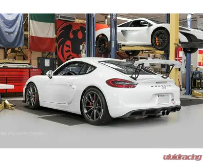 Fabspeed Single-Wall Tips w/ Polished Stainless Steel Tips Porsche 981 Cayman GT4 2015-2016 - FS.POR.981GT4.SWTP