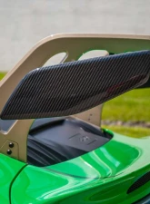 Fabspeed Carbon Fiber Wing End Plates Porsche 992 GT3 2022+                                     - FS.POR.992GT3.WEPLATES - Image 7