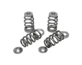 Kelford RB26DETT Extreme Beehive Springs
