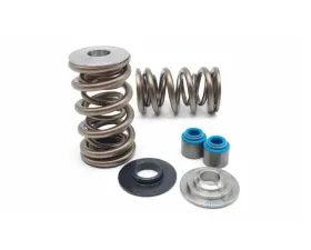Kelford Dual 1204X Springs with Titanium Retainers for Chevrolet Corvette Camaro 1997-2004