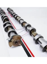 Kelford Camshaft 288/268 Stage 1 for BMW S58 Engine - Precision Performance Upgrade                                     - 358-A - Image 2