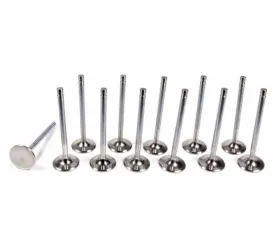 Kelford RB26DETT Intake Valve (Set) Nissan Skyline 1989-2002