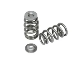 Kelford 1JZ Extreme Springs