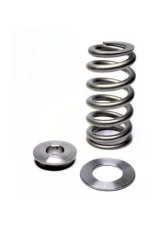 Kelford EA888.3 Beehive Springs                                     - KVS276-BT - Image 6