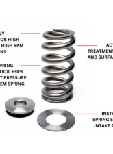 Kelford EA888.3 Beehive Springs                                     - KVS276-BT - Image 2