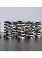 Kelford EA888.3 Beehive Springs                                     - KVS276-BT - Image 4