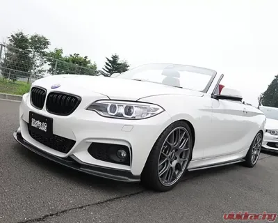 3D Design Carbon Fiber Front Lip - 3101-22211