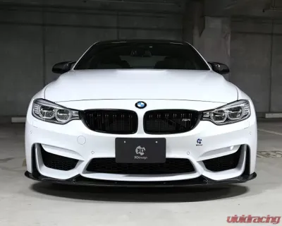 3D Design Carbon Fiber Front Lip Spoiler - 3101-28211