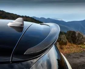 3D Design Carbon Fiber Roof Spoiler