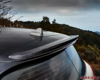 3D Design Carbon Fiber Roof Spoiler - 3110-25411